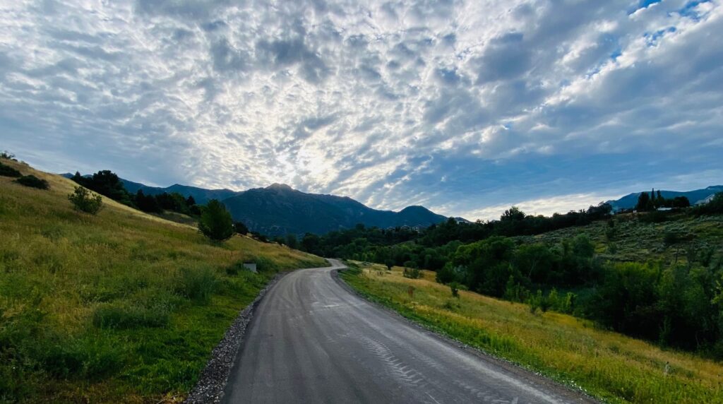 local requirements for ogden contractors